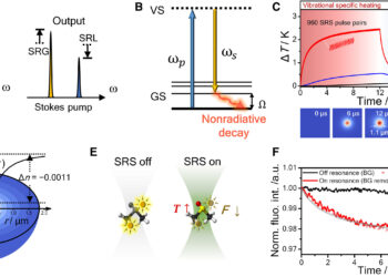 Unveiling a new era of imaging: engineers pioneer revolutionary microscopy techniques