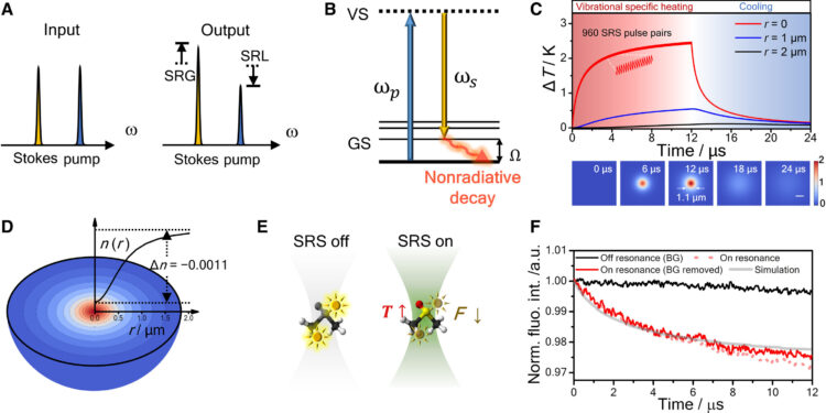 Unveiling a new era of imaging: engineers pioneer revolutionary microscopy techniques