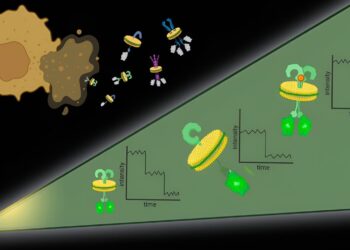 Using molecular cookie cutters to visualize the organization of membrane proteins