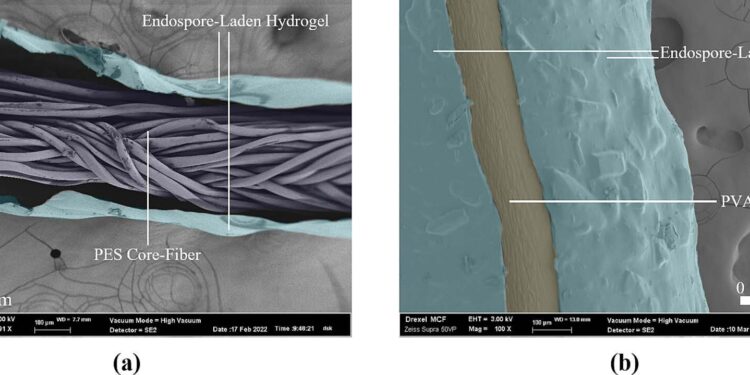 Veins of bacteria could form a self-healing system for concrete infrastructure