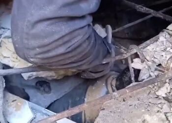 Watch.. Attempts to recover bodies and injured people from a home for the Al-Qudra family in Khan Yunis |  Programs