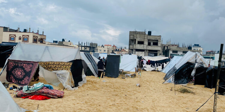 What happens after the displacement of Gazans to Rafah?  |  Policy