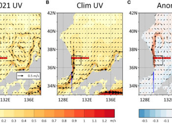 Why the East Sea experienced extreme conditions in 2021