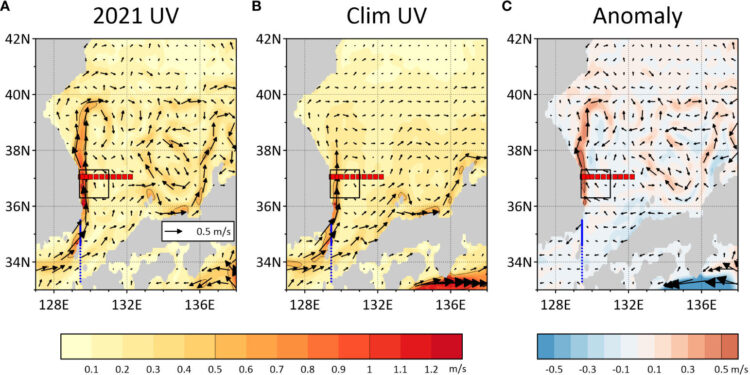 Why the East Sea experienced extreme conditions in 2021