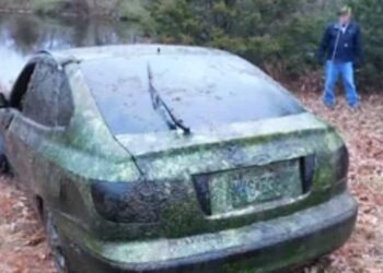 YouTuber helps authorities find body of man missing since 2013