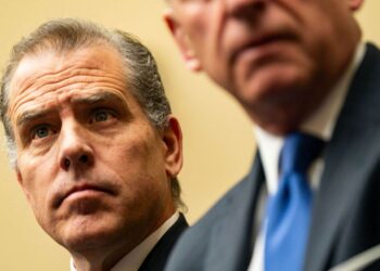 President Biden’s son pleads not guilty to tax fraud