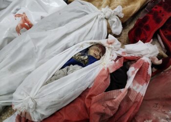 19 massacres within 24 hours committed by the occupation and a new death toll in Gaza