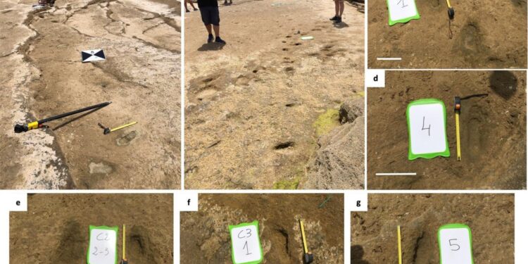 90,000-year-old human footprints discovered on Moroccan beach