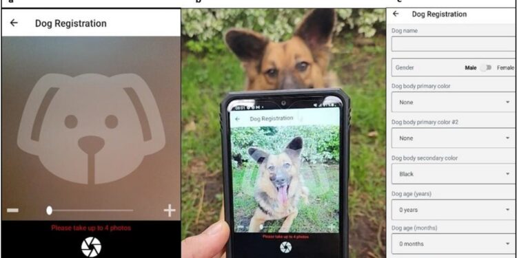 A facial recognition application for dogs developed to fight rabies