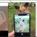 A facial recognition application for dogs developed to fight rabies