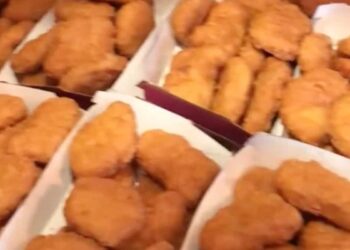 A family orders 20 chicken nuggets from McDonald’s… and receives 200