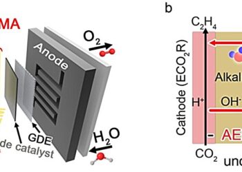 A pure water-fed membrane-electrode assembly system for the electrocatalytic reduction of carbon dioxide