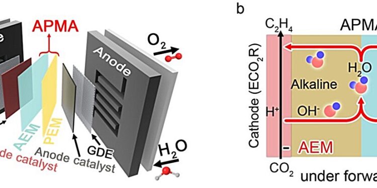 A pure water-fed membrane-electrode assembly system for the electrocatalytic reduction of carbon dioxide