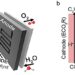 A pure water-fed membrane-electrode assembly system for the electrocatalytic reduction of carbon dioxide