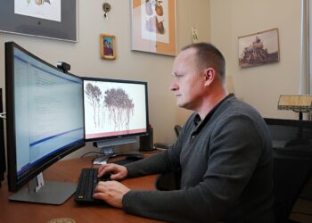 AI learns to simulate the growth and shape of trees in response to their environment