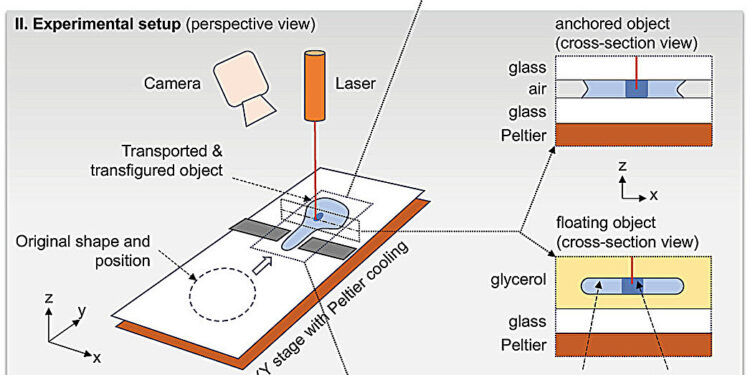 Advances in materials science could lead to planes that optimize their shape in flight