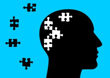 Amnesia caused by head trauma reversed in first mouse study