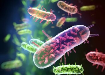 Analysis of two decades of antibiotic resistance shows that antibiotic use is not the only driver of the emergence of superbugs