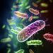 Analysis of two decades of antibiotic resistance shows that antibiotic use is not the only driver of the emergence of superbugs
