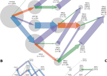Analyzing how cancer mutations interact can improve targeted therapies