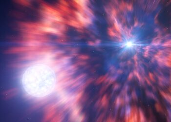Astronomers discover direct link between supernovae and the formation of black holes or neutron stars
