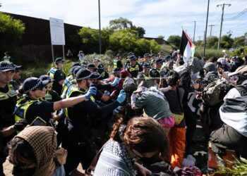 Australian activists try to prevent Israeli ships from docking in Melbourne Port