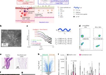 Bioengineering approach shows promise in treating ulcerative colitis