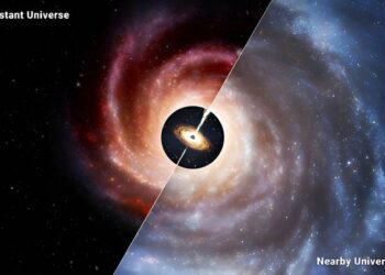 Black holes of unexpected mass dominate small galaxies in the distant universe