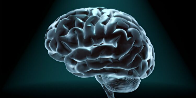 Brain gray matter volume is significantly lower in people with early psychosis, study finds