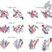 Breakthrough in the design of complex all-α protein structures