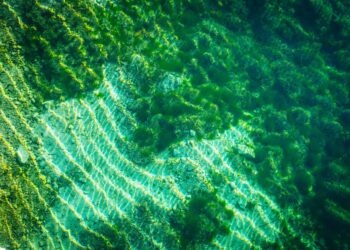 Chemists use blockchain to simulate more than 4 billion chemical reactions essential to the origins of life