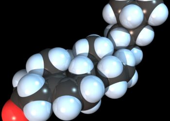 Cholesterol precursor protects cells from ferroptosis, study finds