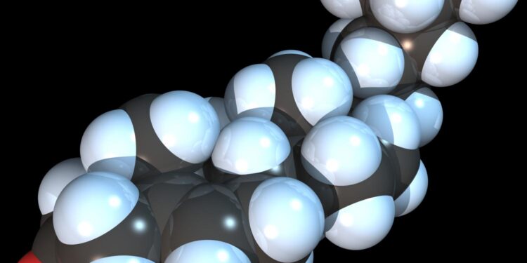 Cholesterol precursor protects cells from ferroptosis, study finds