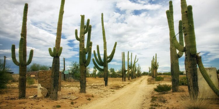 Climate change not producing expected increase in atmospheric humidity in dry regions: study