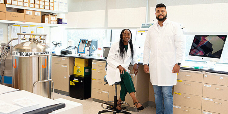 Cold or COVID-19?  Some T cells are ready to fight both