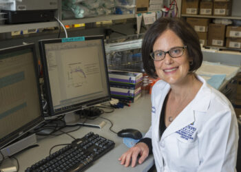 Combination drug therapy shows promise for treatment-resistant cancer