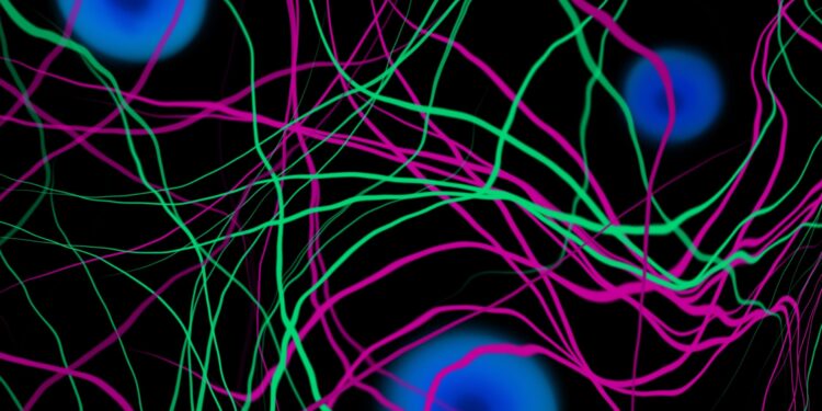 Dark matter could help us discover their origin