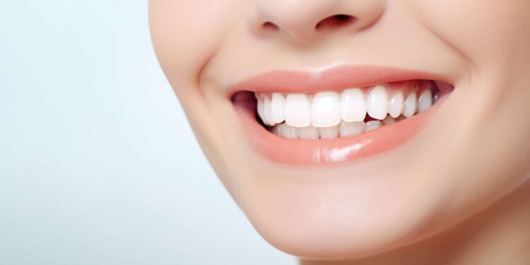 Dental stem cells could be used for bone growth