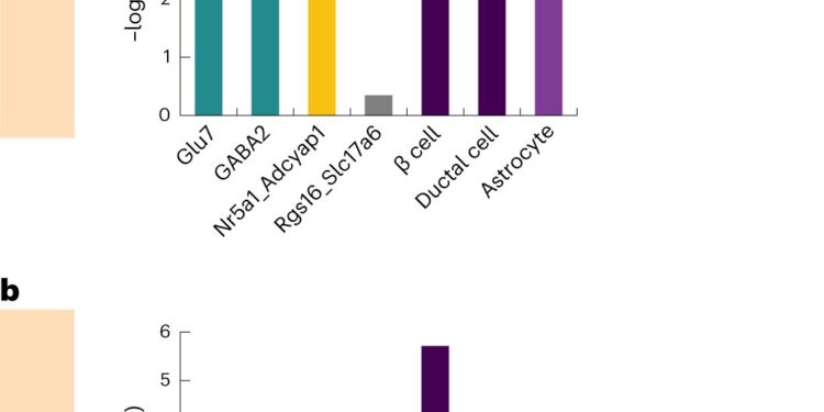 Discover the genetic clues of gestational diabetes