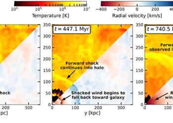 Discover the origin of the rare radio circles in the universe