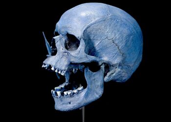 Discoveries gleaned from ancient human DNA