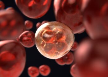 Discovery of the role of hereditary genetic variants in rare blood cancers