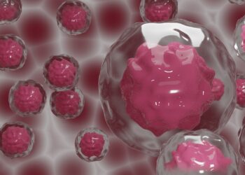 Discovery reveals the guardian of the immune system: Ikaros