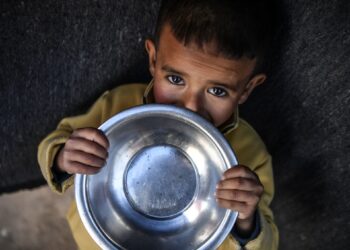 Displacement and hunger in Rafah With pictures