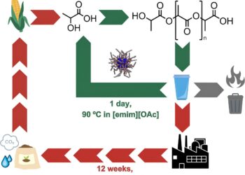 Enzyme used in laundry detergent can recycle single-use plastics in 24 hours