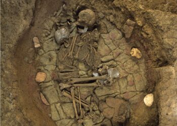 Evidence for a patrilineal descent system for Western Eurasian Bell Beaker communities