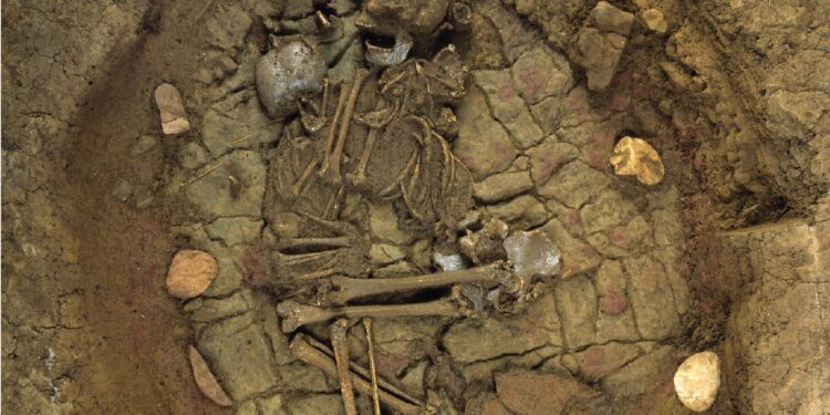 Evidence for a patrilineal descent system for Western Eurasian Bell Beaker communities