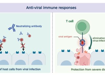 Evolution of the human immune system in the post-omicron era