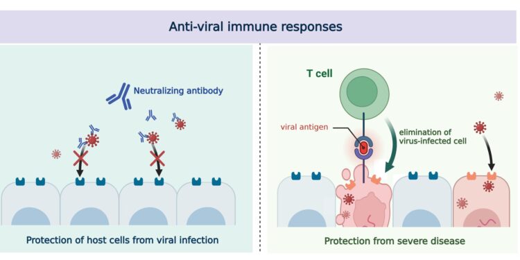 Evolution of the human immune system in the post-omicron era