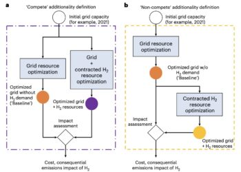 Exploring the impact of grid-connected hydrogen production on carbon emissions